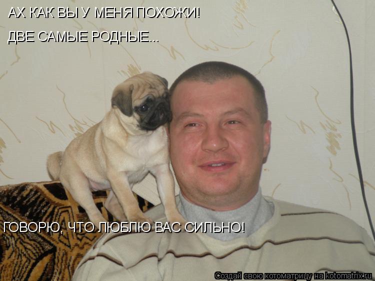 АХ КАК ВЫ У МЕНЯ ПОХОЖИ! ДВЕ САМЫЕ РОДНЫЕ... ГОВОРЮ, ЧТО ЛЮБЛЮ ВАС СИЛЬНО!... Котоматрица: АХ КАК ВЫ У МЕНЯ ПОХОЖИ! ДВЕ САМЫЕ РОДНЫЕ... ГОВОРЮ, ЧТО ЛЮБЛЮ ВАС СИЛЬНО!