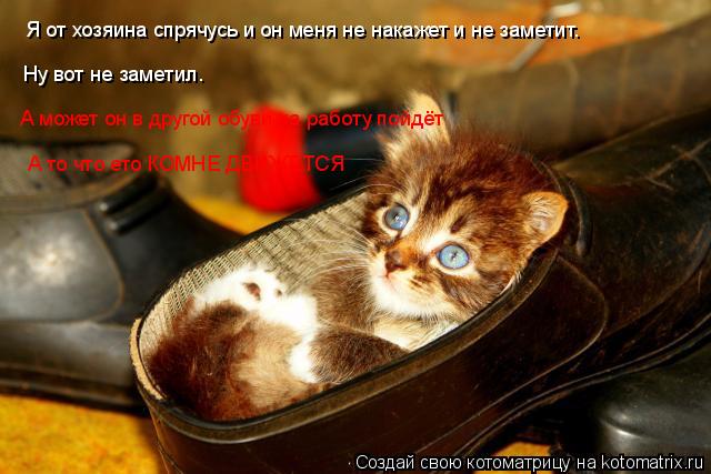 Я от хозяина спрячусь и он меня не накажет и не заметит. Ну вот не заметил. А может он в другой обув... Котоматрица: Я от хозяина спрячусь и он меня не накажет и не заметит. Ну вот не заметил. А может он в другой обуви на работу пойдёт А то что ето КОМНЕ ДВИЖ