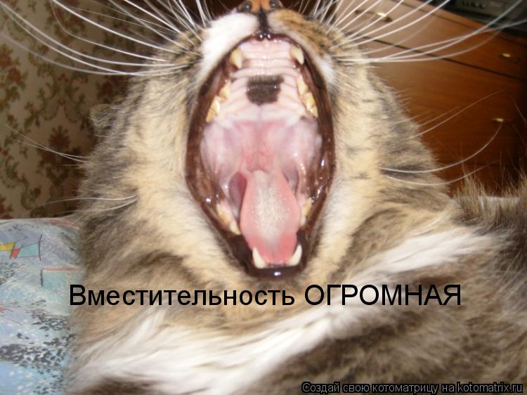Вместительность ОГРОМНАЯ... Котоматрица: Вместительность ОГРОМНАЯ