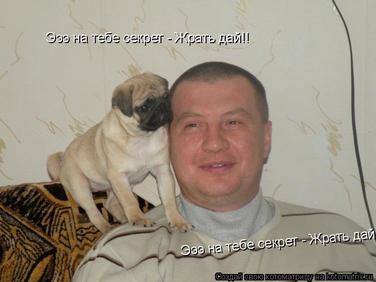 Эээ на тебе секрет - Жрать дай!! Эээ на тебе секрет - Жрать дай!!... Котоматрица: Эээ на тебе секрет - Жрать дай!! Эээ на тебе секрет - Жрать дай!!