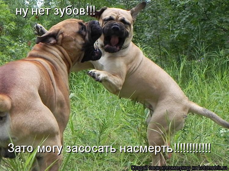 ну нет зубов!!! Зато могу засосать насмерть!!!!!!!!!!!!... Котоматрица: ну нет зубов!!! Зато могу засосать насмерть!!!!!!!!!!!!