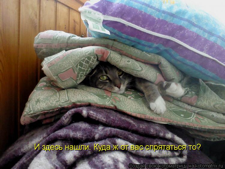 И здесь нашли. Куда ж от вас спрятаться то?... Котоматрица: И здесь нашли. Куда ж от вас спрятаться то?