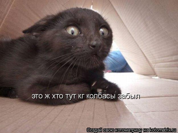 это ж хто тут кг колбасы забыл... Котоматрица: это ж хто тут кг колбасы забыл