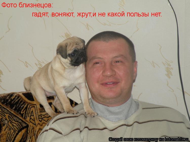 Фото близнецов: гадят, воняют, жрут,и не какой пользы нет.... Котоматрица: Фото близнецов: гадят, воняют, жрут,и не какой пользы нет.