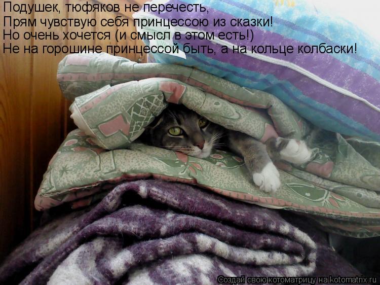 Подушек, тюфяков не перечесть, Прям чувствую себя принцессою из сказки! Но очень хочется (и смысл в э... Котоматрица: Подушек, тюфяков не перечесть, Прям чувствую себя принцессою из сказки! Но очень хочется (и смысл в этом есть!) Не на горошине принцессой быт