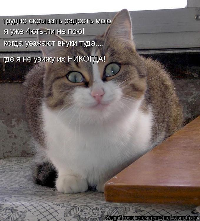 трудно скрывать радость мою я уже 4ють-ли не пою! когда уезжают внуки туда.... где я не увижу их НИКО... Котоматрица: трудно скрывать радость мою я уже 4ють-ли не пою! когда уезжают внуки туда.... где я не увижу их НИКОГДА!