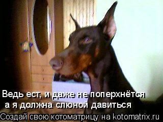 а я должна слюной давиться Ведь ест, и даже не поперхнётся... Котоматрица: а я должна слюной давиться Ведь ест, и даже не поперхнётся
