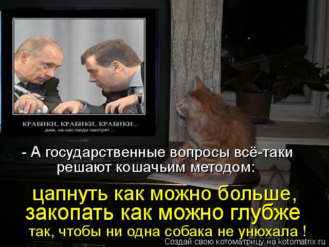 решают кошачьим методом: - А государственные вопросы всё-таки цапнуть как можно больше, закопать ка... Котоматрица: решают кошачьим методом: - А государственные вопросы всё-таки цапнуть как можно больше, закопать как можно глубже так, чтобы ни одна собака