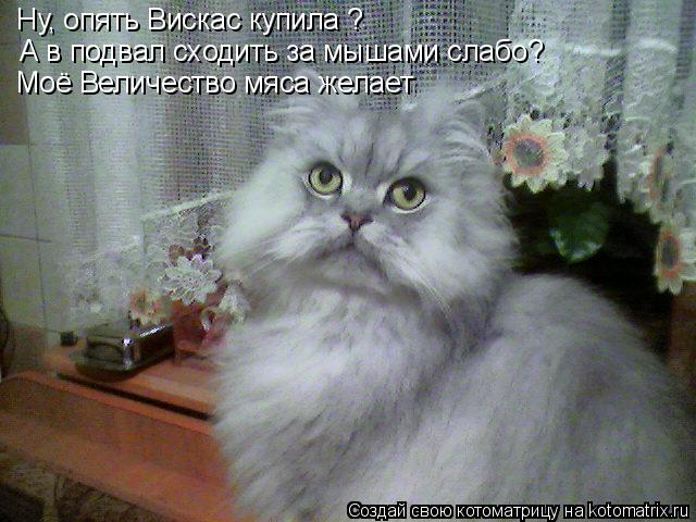 Ну, опять Вискас купила ? А в подвал сходить за мышами слабо? Моё Величество мяса желает... Котоматрица: Ну, опять Вискас купила ? А в подвал сходить за мышами слабо? Моё Величество мяса желает