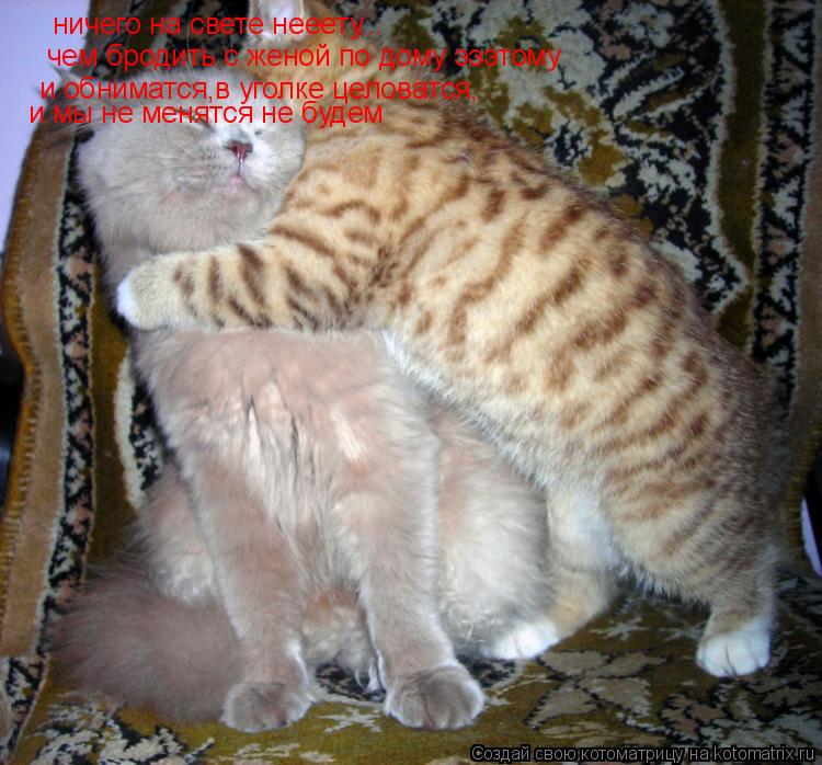 ничего на свете нееету... чем бродить с женой по дому эээтому и обниматся,в уголке целоватся, и мы не... Котоматрица: ничего на свете нееету... чем бродить с женой по дому эээтому и обниматся,в уголке целоватся, и мы не менятся не будем