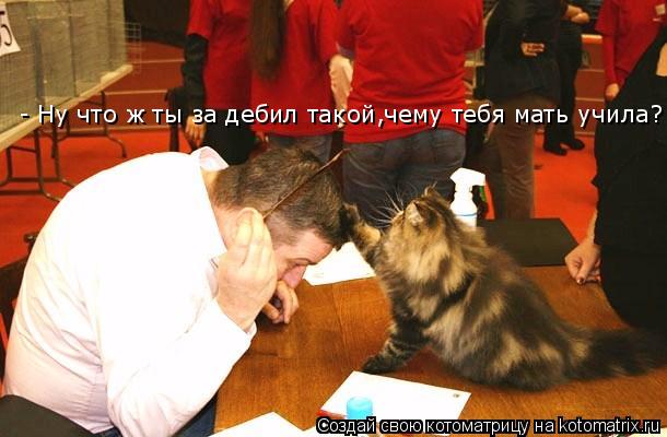 - Ну что ж ты за дебил такой,чему тебя мать учила? - Ну что ж ты за дебил такой,чему тебя мать учила?... Котоматрица: - Ну что ж ты за дебил такой,чему тебя мать учила? - Ну что ж ты за дебил такой,чему тебя мать учила?