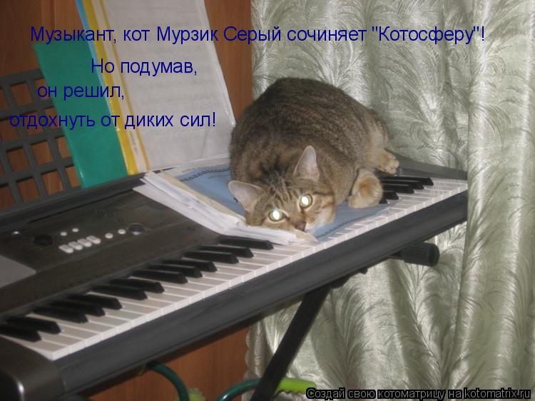 Музыкант, кот Мурзик Серый сочиняет "Котосферу"! Но подумав, он решил, отдохнуть от диких сил!... Котоматрица: Музыкант, кот Мурзик Серый сочиняет "Котосферу"! Но подумав, он решил, отдохнуть от диких сил!
