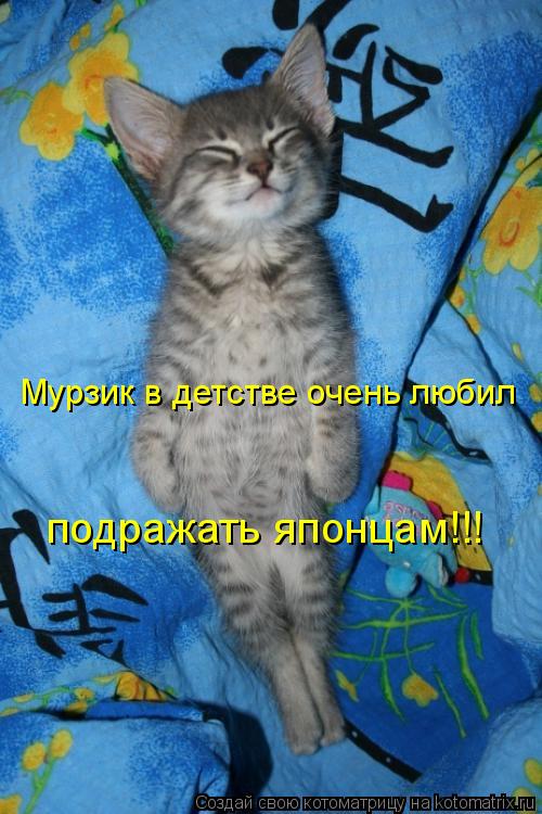 Мурзик в детстве очень любил подражать японцам!!!... Котоматрица: Мурзик в детстве очень любил подражать японцам!!!