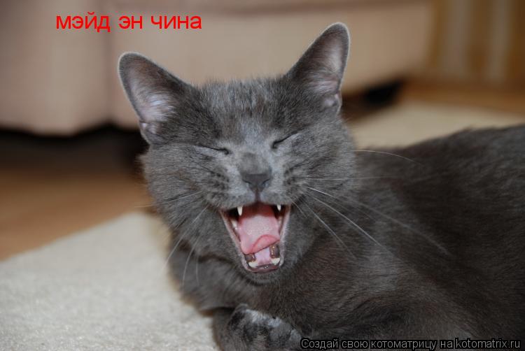 мэйд эн чина... Котоматрица: мэйд эн чина