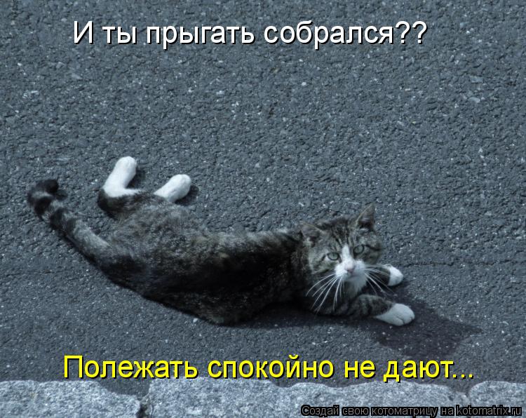 И ты прыгать собрался?? Полежать спокойно не дают...... Котоматрица: И ты прыгать собрался?? Полежать спокойно не дают...