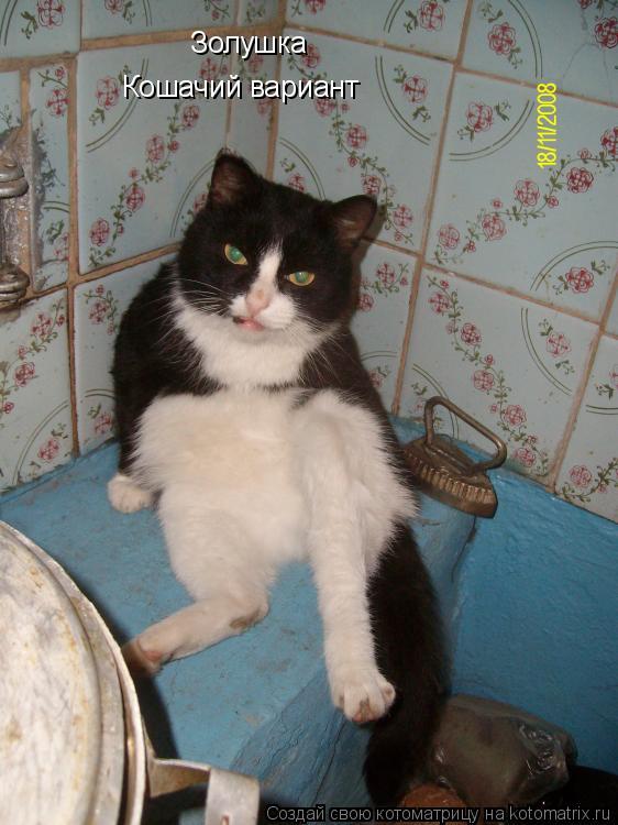 Золушка Кошачий вариант... Котоматрица: Золушка Кошачий вариант