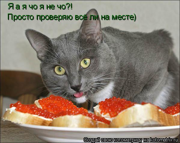 Я а я чо я не чо?! Просто проверяю всё ли на месте)... Котоматрица: Я а я чо я не чо?! Просто проверяю всё ли на месте)