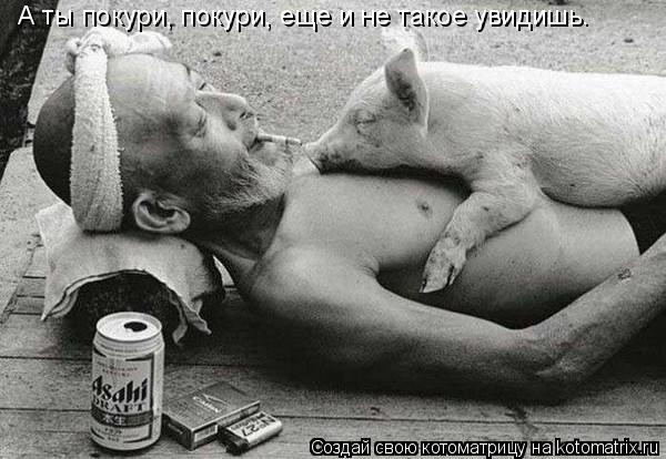 А ты покури, покури, еще и не такое увидишь.... Котоматрица: А ты покури, покури, еще и не такое увидишь.