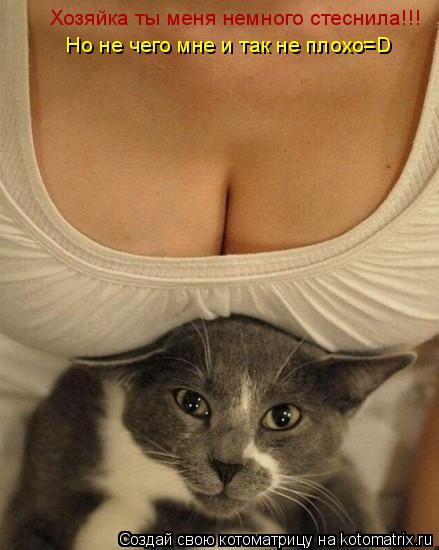 Хозяйка ты меня немного стеснила!!! Но не чего мне и так не плохо=D... Котоматрица: Хозяйка ты меня немного стеснила!!! Но не чего мне и так не плохо=D
