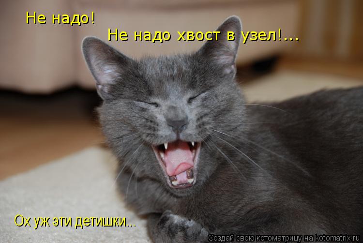 Не надо! Не надо хвост в узел!... Ох уж эти детишки...... Котоматрица: Не надо! Не надо хвост в узел!... Ох уж эти детишки...