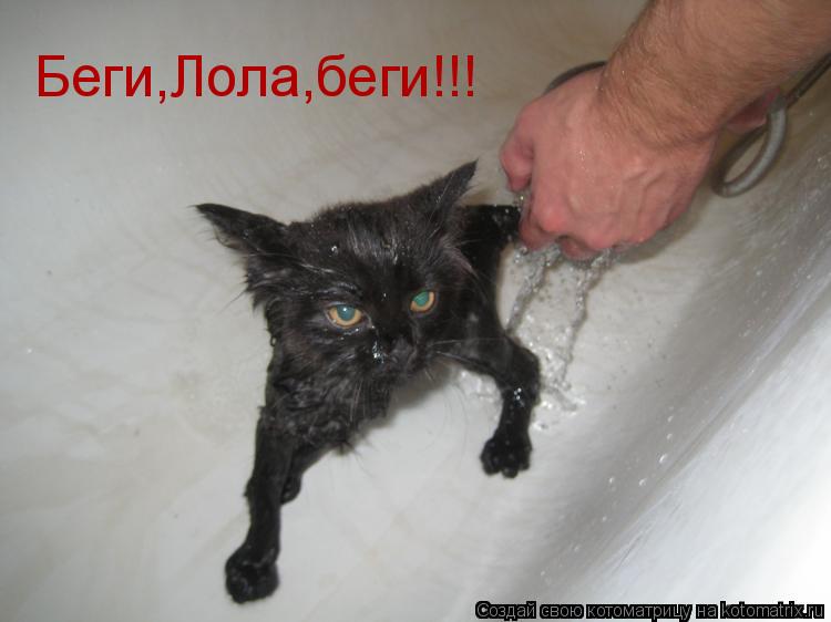 Беги,Лола,беги!!!... Котоматрица: Беги,Лола,беги!!!