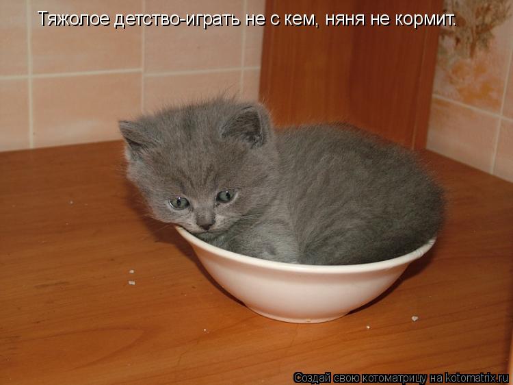 Тяжолое детство-играть не с кем, няня не кормит.... Котоматрица: Тяжолое детство-играть не с кем, няня не кормит.