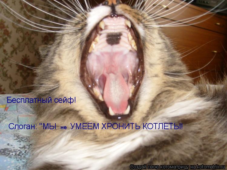 Бесплатный сейф! Слоган: "МЫ не УМЕЕМ ХРОНИТЬ КОТЛЕТЫ!... Котоматрица: Бесплатный сейф! Слоган: "МЫ не УМЕЕМ ХРОНИТЬ КОТЛЕТЫ!