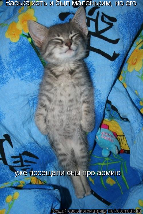 Васька хоть и был маленьким, но его уже посещали сны про армию... Котоматрица: Васька хоть и был маленьким, но его уже посещали сны про армию