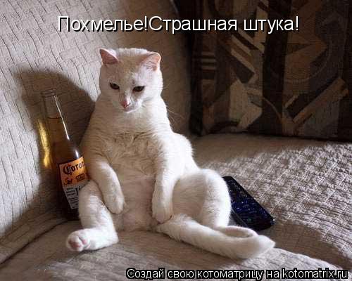 Похмелье!Страшная штука!... Котоматрица: Похмелье!Страшная штука!