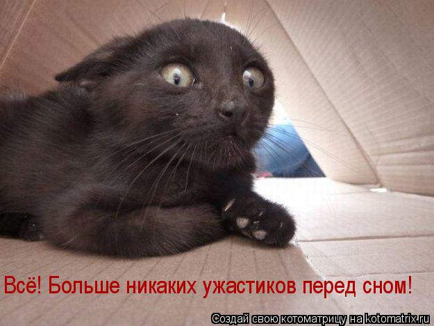 Всё! Больше никаких ужастиков перед сном!... Котоматрица: Всё! Больше никаких ужастиков перед сном!