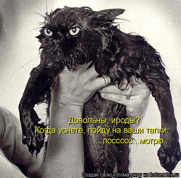 Довольны, ироды? Когда уснете, пойду на ваши тапки... ...поссссс...мотрю...... Котоматрица: Довольны, ироды? Когда уснете, пойду на ваши тапки... ...поссссс...мотрю...