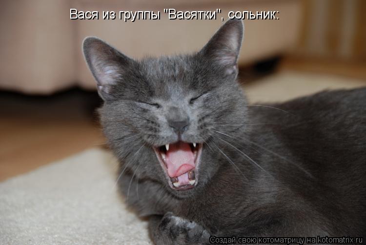 Вася из группы "Васятки", сольник:... Котоматрица: Вася из группы "Васятки", сольник: