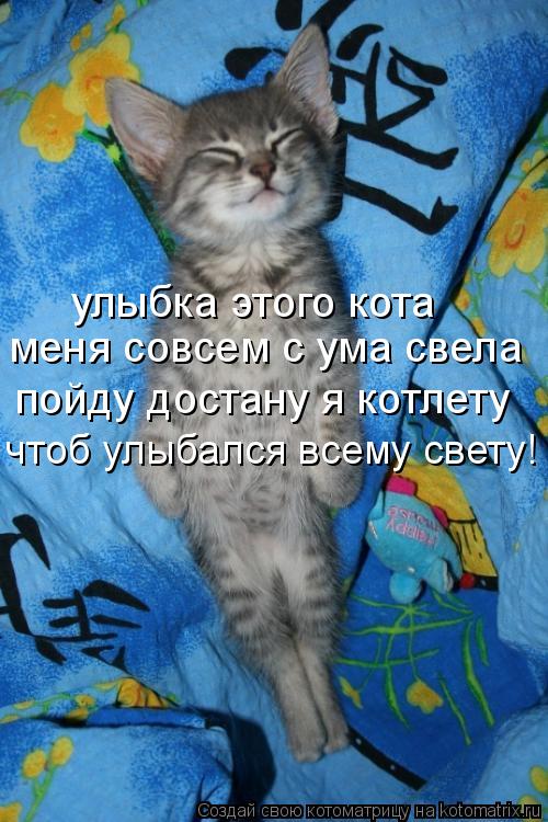 улыбка этого кота меня совсем с ума свела пойду достану я котлету чтоб улыбался всему свету!... Котоматрица: улыбка этого кота меня совсем с ума свела пойду достану я котлету чтоб улыбался всему свету!