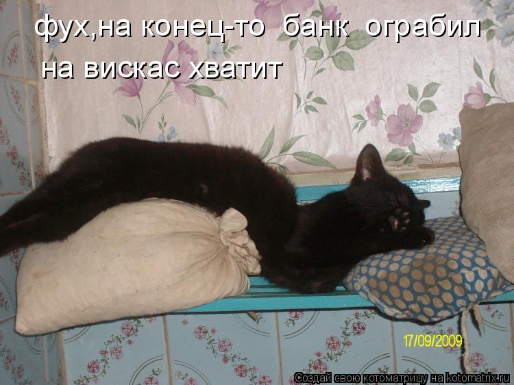 фух,на конец-то банк ограбил на вискас хватит... Котоматрица: фух,на конец-то банк ограбил на вискас хватит