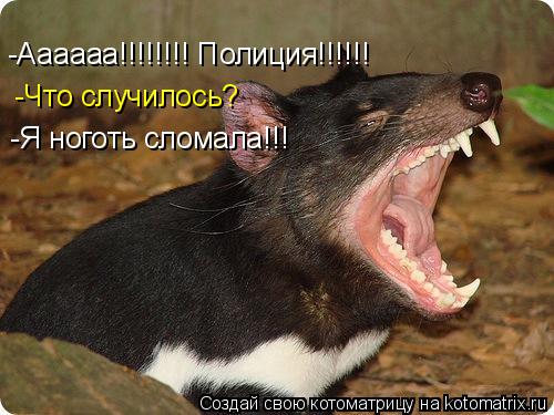 -Аааааа!!!!!!!! Полиция!!!!!! -Что случилось? -Я ноготь сломала!!!... Котоматрица: -Аааааа!!!!!!!! Полиция!!!!!! -Что случилось? -Я ноготь сломала!!!