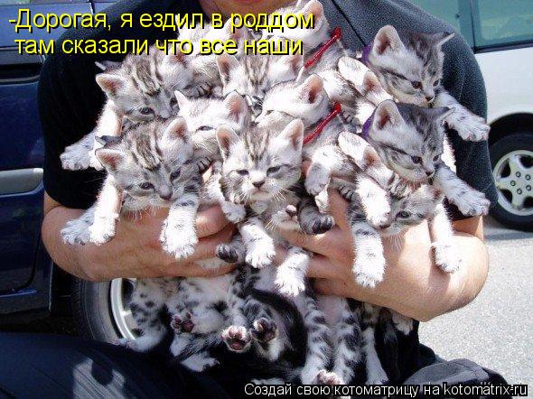 -Дорогая, я ездил в роддом там сказали что все наши... Котоматрица: -Дорогая, я ездил в роддом там сказали что все наши