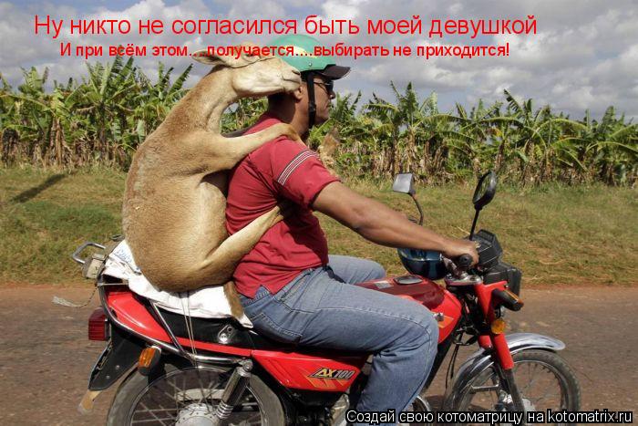 Ну никто не согласился быть моей девушкой И при всём этом....получается....выбирать не приходится!... Котоматрица: Ну никто не согласился быть моей девушкой И при всём этом....получается....выбирать не приходится!