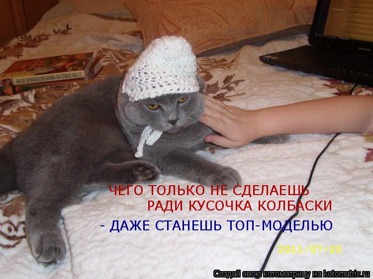 ЧЕГО ТОЛЬКО НЕ СДЕЛАЕШЬ РАДИ КУСОЧКА КОЛБАСКИ - ДАЖЕ СТАНЕШЬ ТОП-МОДЕЛЬЮ... Котоматрица: ЧЕГО ТОЛЬКО НЕ СДЕЛАЕШЬ РАДИ КУСОЧКА КОЛБАСКИ - ДАЖЕ СТАНЕШЬ ТОП-МОДЕЛЬЮ