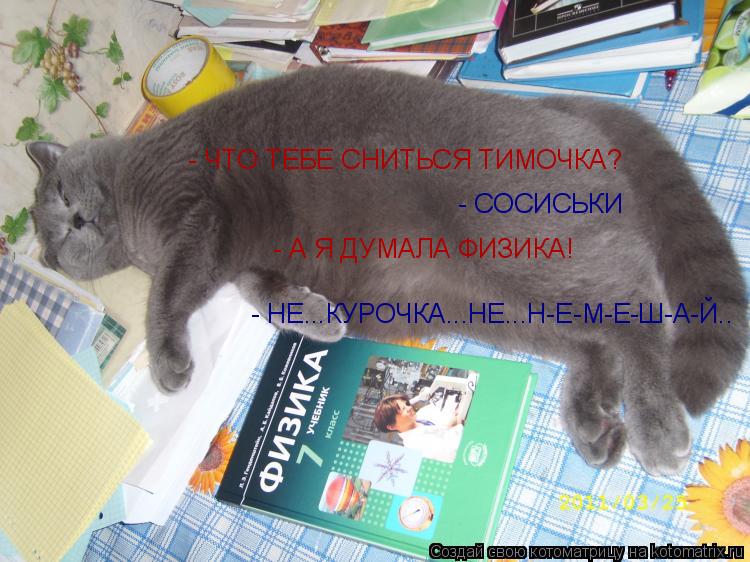 - ЧТО ТЕБЕ СНИТЬСЯ ТИМОЧКА? - СОСИСЬКИ - А Я ДУМАЛА ФИЗИКА! - НЕ...КУРОЧКА...НЕ...Н-Е-М-Е-Ш-А-Й..... Котоматрица: - ЧТО ТЕБЕ СНИТЬСЯ ТИМОЧКА? - СОСИСЬКИ - А Я ДУМАЛА ФИЗИКА! - НЕ...КУРОЧКА...НЕ...Н-Е-М-Е-Ш-А-Й..