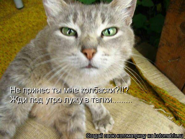 Не принес ты мне колбаски?!!? Жди под утро лужу в тапки............ Котоматрица: Не принес ты мне колбаски?!!? Жди под утро лужу в тапки.........