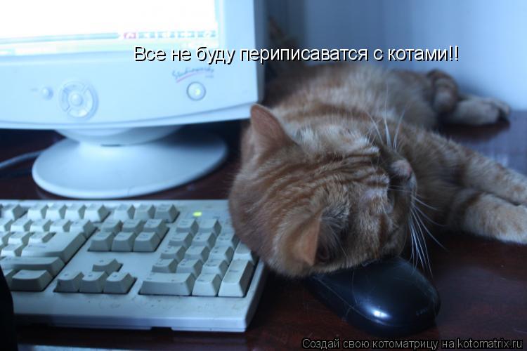 Все не буду периписаватся с котами!!... Котоматрица: Все не буду периписаватся с котами!!