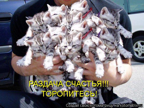 РАЗДАЧА СЧАСТЬЯ!!! ТОРОПИТЕСЬ!... Котоматрица: РАЗДАЧА СЧАСТЬЯ!!! ТОРОПИТЕСЬ!