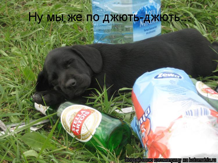 Ну мы же по джють-джють...... Котоматрица: Ну мы же по джють-джють...