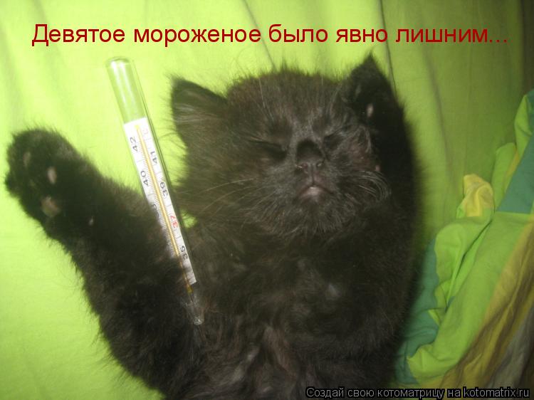 Девятое мороженое было явно лишним...... Котоматрица: Девятое мороженое было явно лишним...