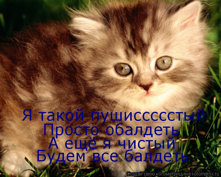Я такой пушиссссстый Просто обалдеть А ещё я чистый Будем все балдеть... Котоматрица: Я такой пушиссссстый Просто обалдеть А ещё я чистый Будем все балдеть