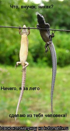 Ничего, я за лето сделаю из тебя человека! Что, внучок, никак?... Котоматрица: Ничего, я за лето сделаю из тебя человека! Что, внучок, никак?