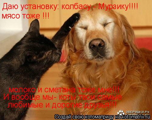 Даю установку: колбасу - Мурзику!!!! мясо тоже !!! молоко и сметана тоже мне!!! И вообще мы- коты тво... Котоматрица: Даю установку: колбасу - Мурзику!!!! мясо тоже !!! молоко и сметана тоже мне!!! И вообще мы- коты твои самые любимые и дорогие друзья!!!