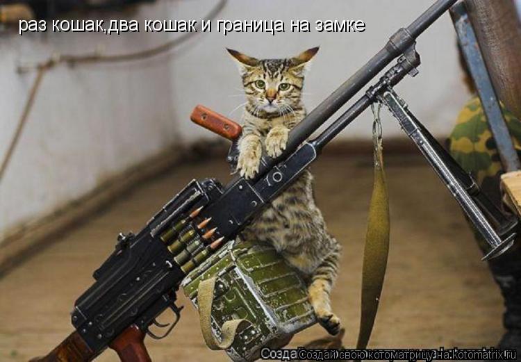 раз кошак,два кошак и граница на замке... Котоматрица: раз кошак,два кошак и граница на замке