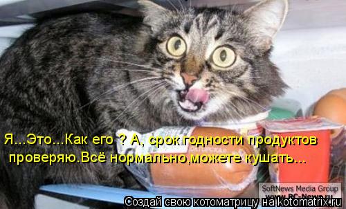 Я...Это...Как его ? А, срок годности продуктов проверяю.Всё нормально,можете кушать...... Котоматрица: Я...Это...Как его ? А, срок годности продуктов проверяю.Всё нормально,можете кушать...