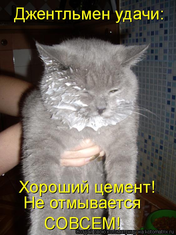 Джентльмен удачи: Хороший цемент! Не отмывается СОВСЕМ!... Котоматрица: Джентльмен удачи: Хороший цемент! Не отмывается СОВСЕМ!